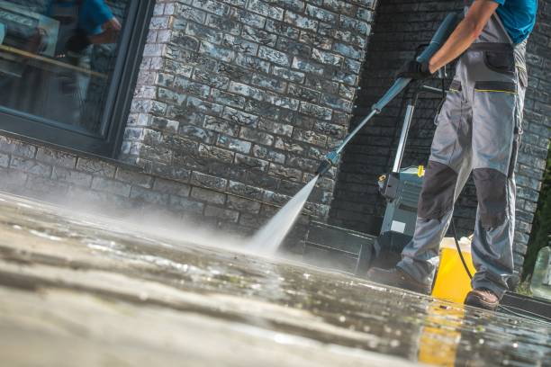 Best Pool Deck Cleaning  in Mount Pulaski, IL
