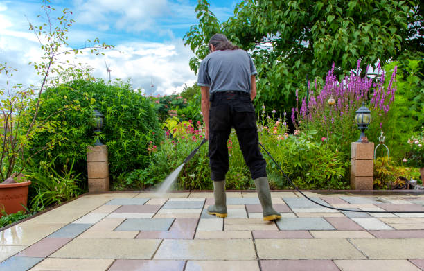 Best Concrete Sealing  in Mount Pulaski, IL